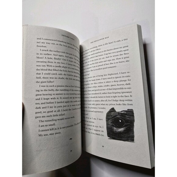 The Swallowed Man A Novel By Edward Carey - Paperback Book - Brand New - Picture 6 of 9